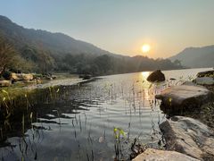 -桃花岭景区