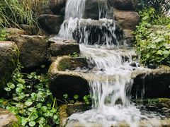 -古乐牛香·鲜牛肉牛杂火锅(新区店)