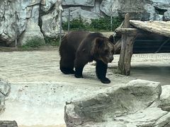 -黔灵山公园