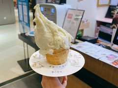 -野人先生现做冰淇淋(北京环宇荟店)
