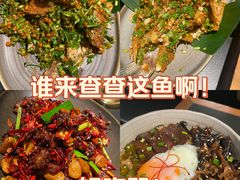 -Ameigo梅果·云贵川bistro(长宁来福士店)