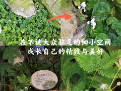 -国家植物园
