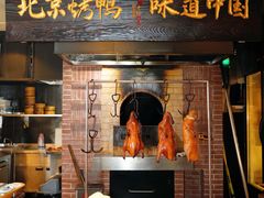 -玖五京菜(杭州城北万象城店)