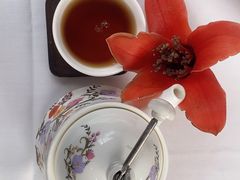 -侨美·唐荔园·40年地道粤菜