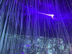 -萨芭蒂高空花园餐酒吧