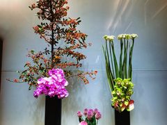 -皇朝尊会(龙之梦大酒店)