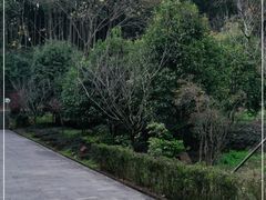 -上海佘山国家森林公园天马山园