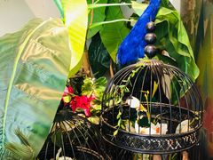 -觅山云南菜(泊富ICITY店)