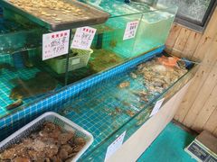 -青岛海滨风景区