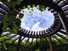 -黑龙江省森林植物园