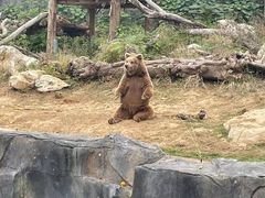 -武汉动物园