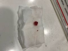 -瑞派动物医院·绝育·犬猫全科·预防医学(光景江南中店)