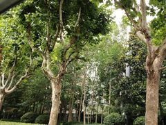 -证大大拇指广场(芳甸路店)