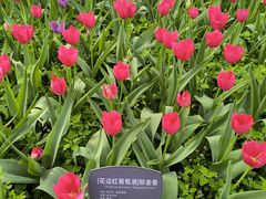 -国家植物园