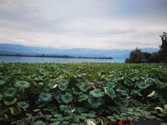 -西昌邛海湿地