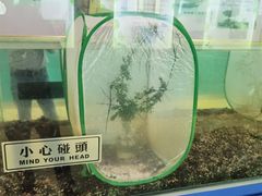 -上海昆虫博物馆