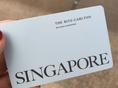 -新加坡丽思卡尔顿美年酒店