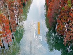 -池杉湖湿地公园