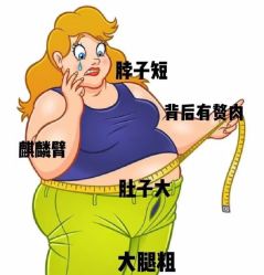 -Fundi张玉珊修身堂·indiba·BTL科技瘦身