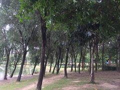 -飞来湖湿地公园