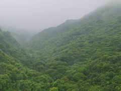 -东部华侨城