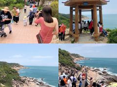 -广东惠东海龟国家级自然保护区