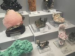 -湖南省地质博物馆