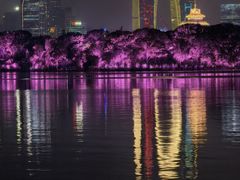 -金鸡湖景区