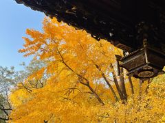 -汇龙潭