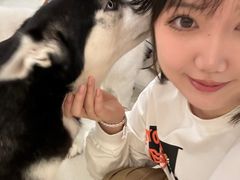 -共舞时光猫咖·狗咖(新街口店)