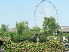 -无锡蠡湖国家湿地公园-蠡园