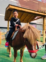 -萌宠亲子动物乐园(槐房万达店)