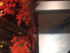 -蓉城老妈火锅(双林路店)