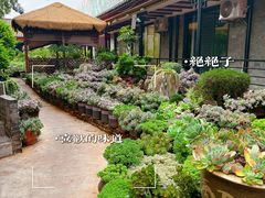 -山菌美食苑(振兴路店)