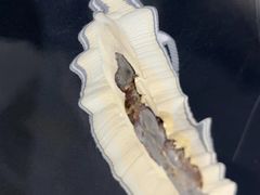 -上海西上海奥杰奥迪汽车销售有限公司(真如店)