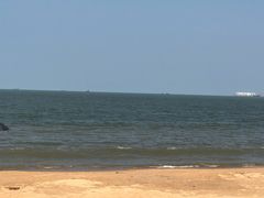 -志龙皇冠吃货椰子铺