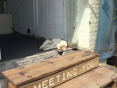 -乐海堂·影院式·自助餐(乐海路旗舰店)