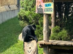 -大连森林动物园