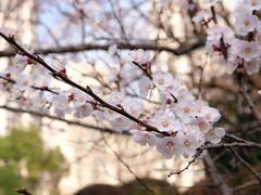 -苏州河梦清园环保主题公园