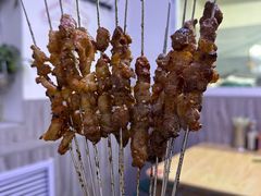 -小老虎