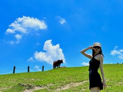 -大姆山草场
