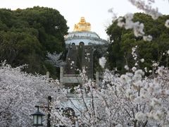 -苏州上方山国家森林公园