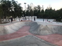 -石榴庄公园