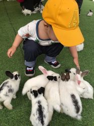 -萌宠亲子动物乐园(槐房万达店)