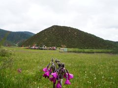 -迪庆藏族自治州博物馆