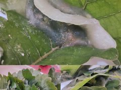 饽椤叶饼-山海关清和浑锅店