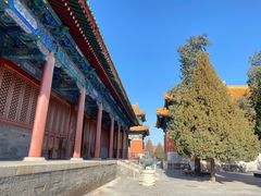 -历代帝王庙博物馆