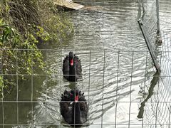 -上海怡沁园度假酒店