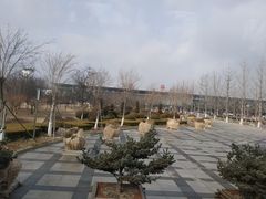 -威海大水泊国际机场