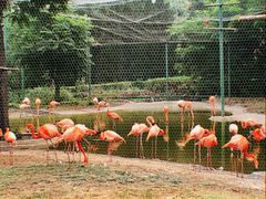 -石家庄市动物园